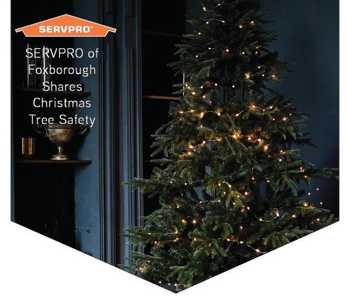 Christmas tree with SERVPRO logo 