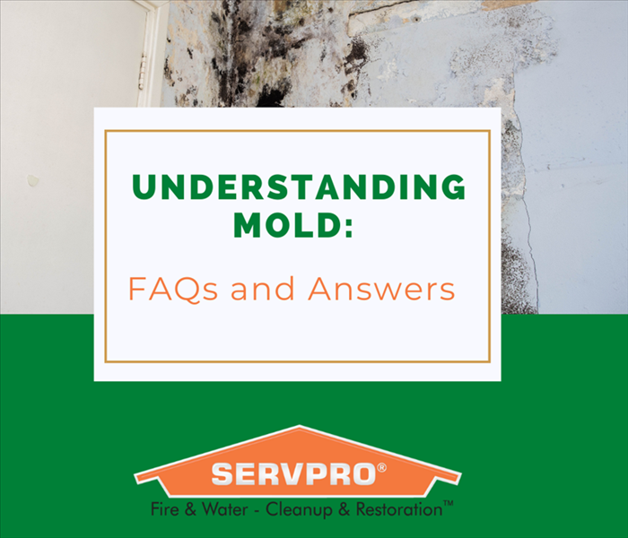 mold on wall with servpro logo